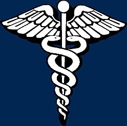 248 1 Premed Logo(1)